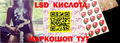ПСИЛОЦИБИНОВЫЕ ГРИБЫ Камышлов
